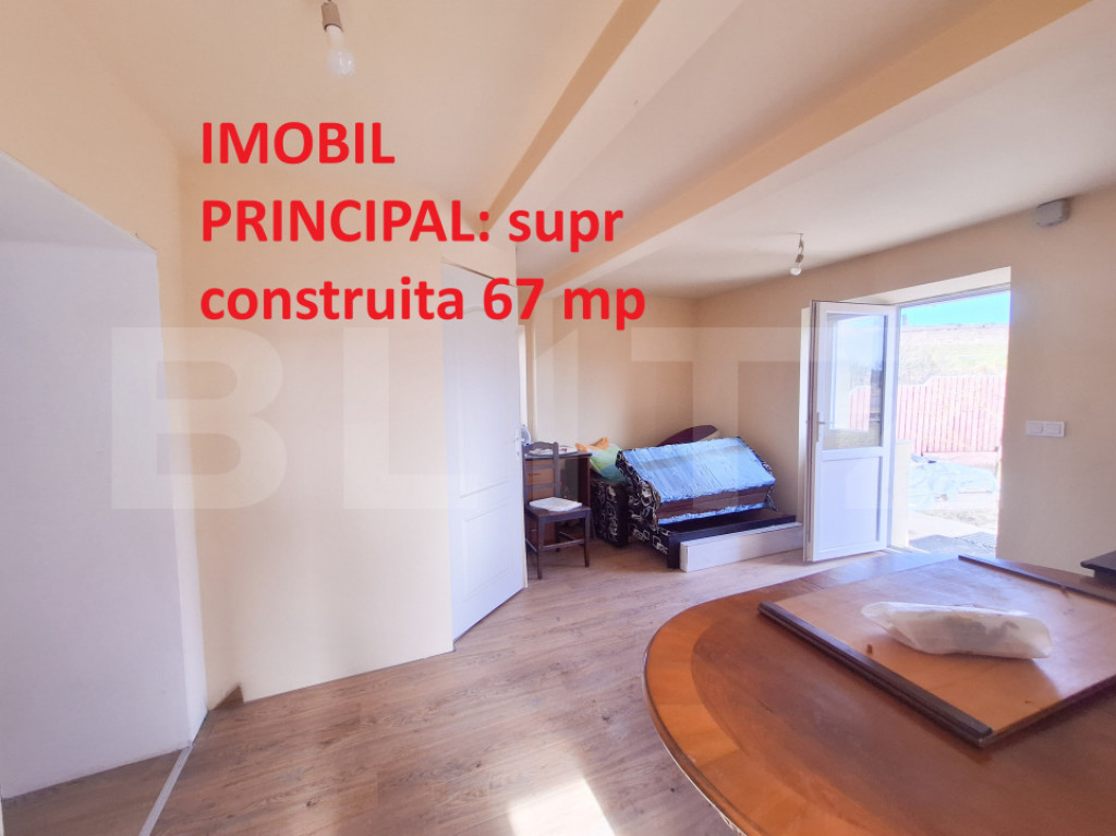 Proprietate cu 3 imobile și 1281 mp teren, Săliștea Nouă