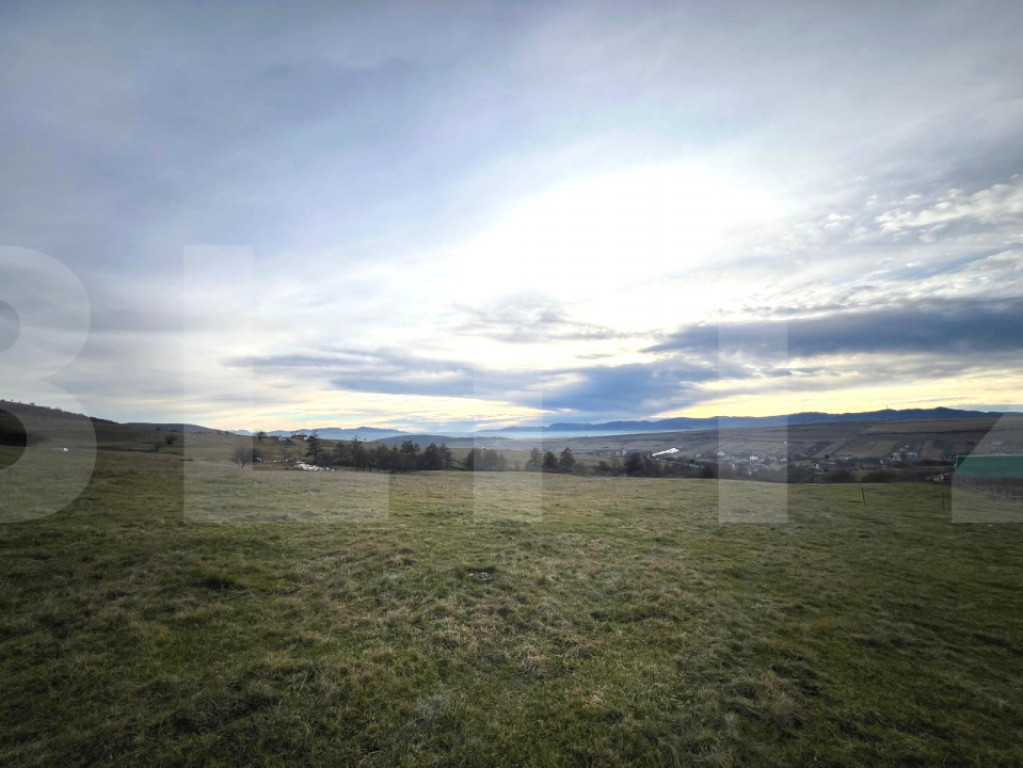 Oportunitate de Investiție - 8000 mp intravilan in Salicea