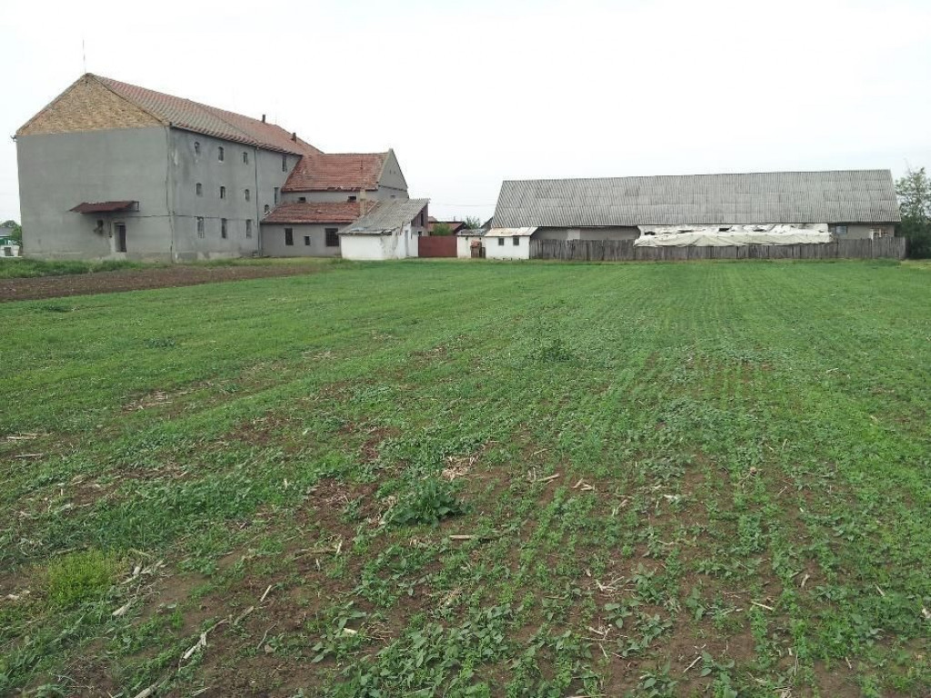 Teren 3250 mp cu moara in Secusigiu - ID : RH-10435-property