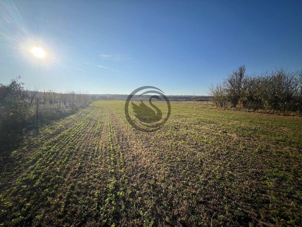 Teren intravilan de vanzare | 12.650 mp | Ghirdoveni, | C...