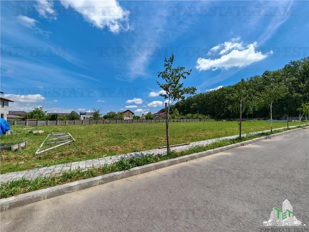 Teren constructii in proximitatea Padurii Corbeanca