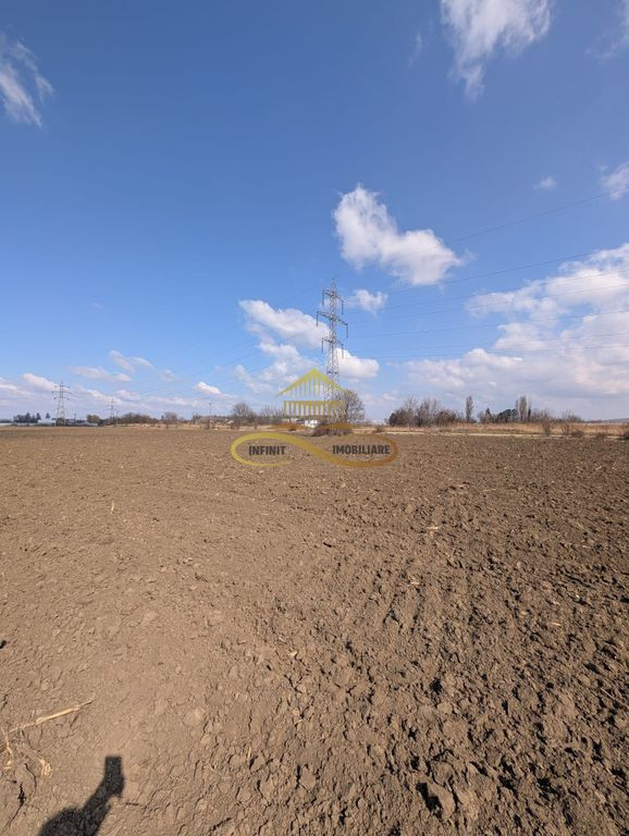 Teren Intravilan în Serbanesti, Bacau