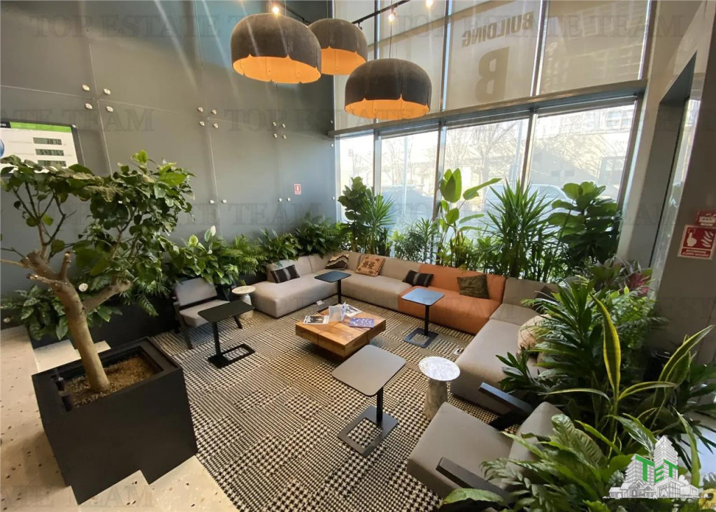 Spatiu de Birouri de 372 mp in Zona Floreasca