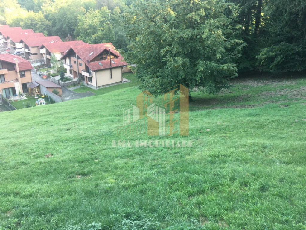 Teren intravilan Brasov Strada Ciresului 2900 mp