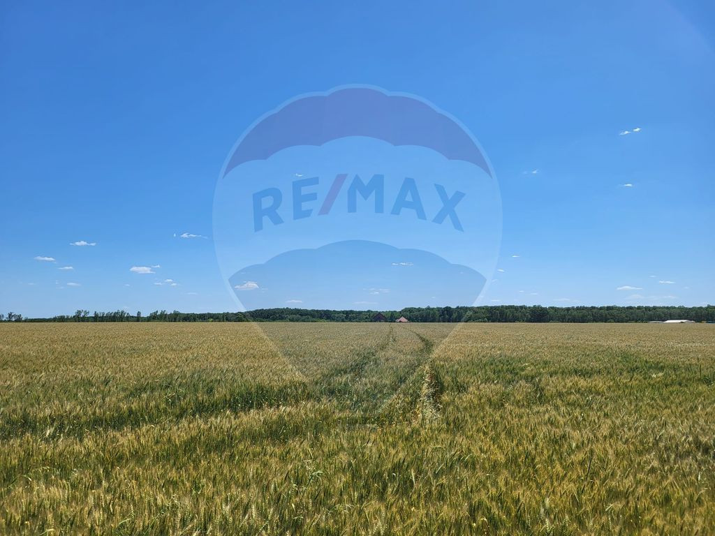 Teren extravilan agricol Peris, Ilfov