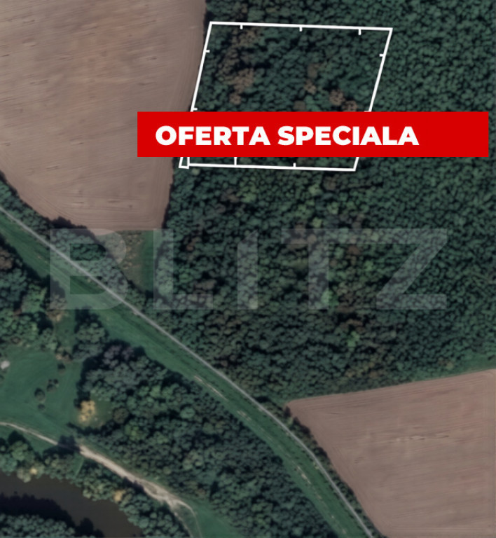 Pădure 10.000 mp Șag – front stradal 100 m, zonă în de