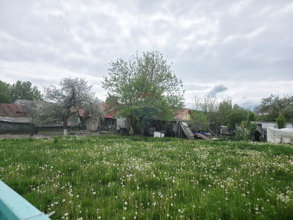 Teren 325mp Dobreni / Strada LASCAR CATARGIU