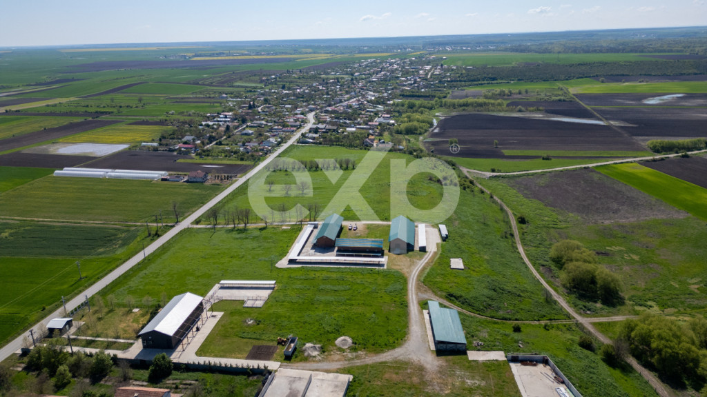 Black Angus Farm with authorized Slaughterhouse