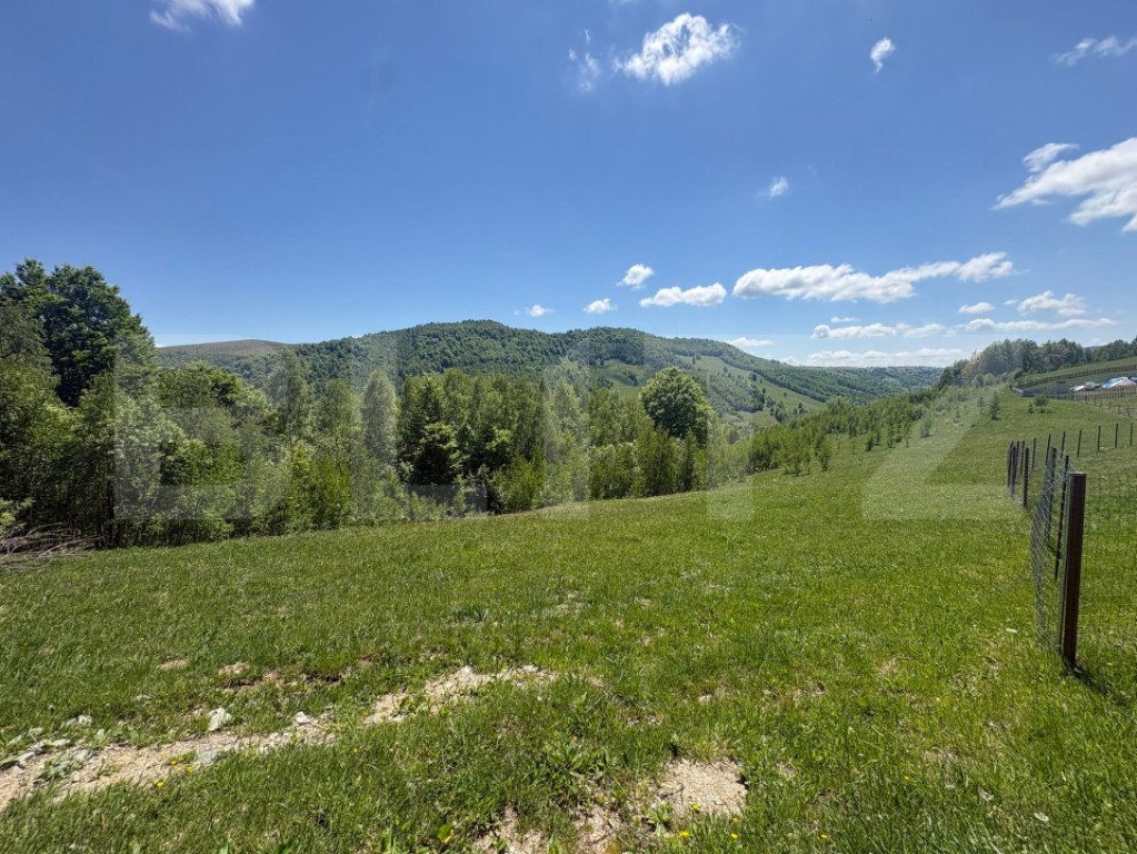 Teren Construibil - Muntele Baisorii , 5000mp - cu posibilit