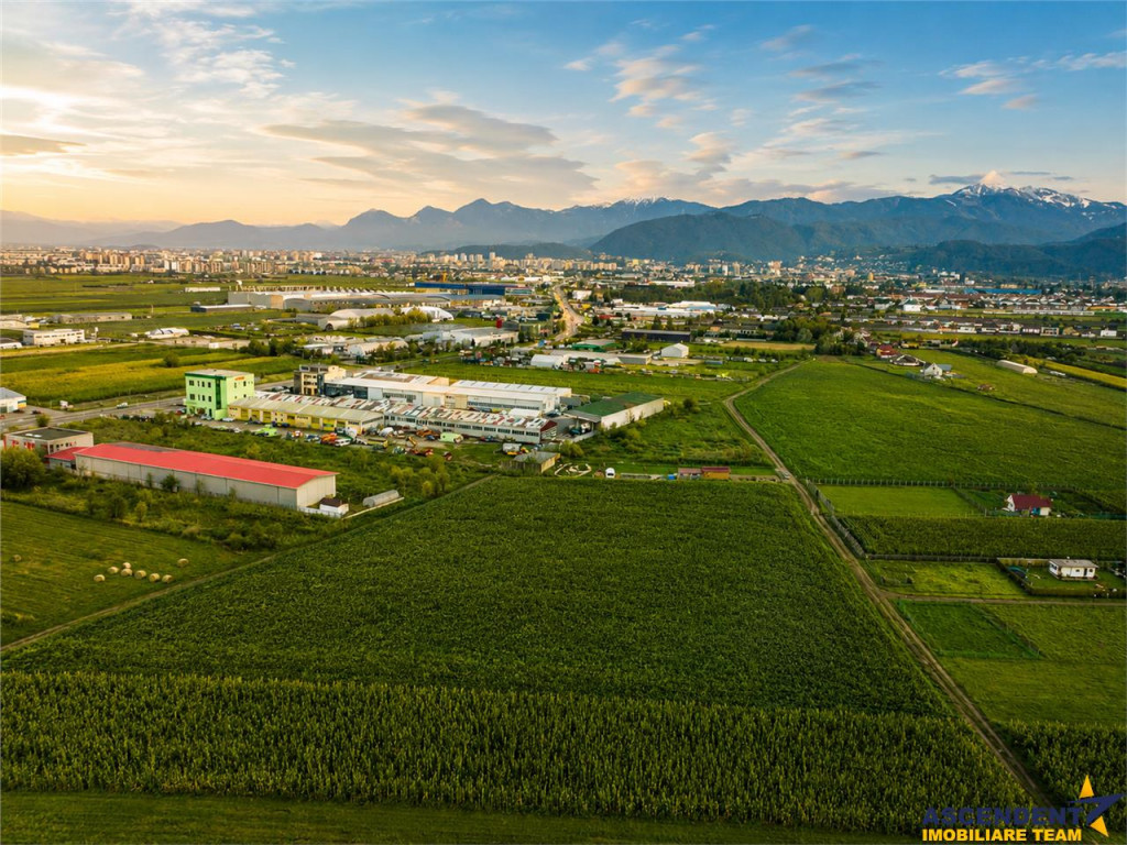 Film!Potential rezidential investitional, 5.000 mp intravila