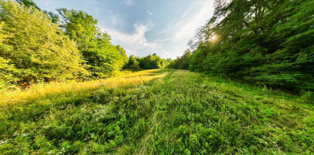 Teren de 11700 mp în mijlocul naturii la 2 ore de București