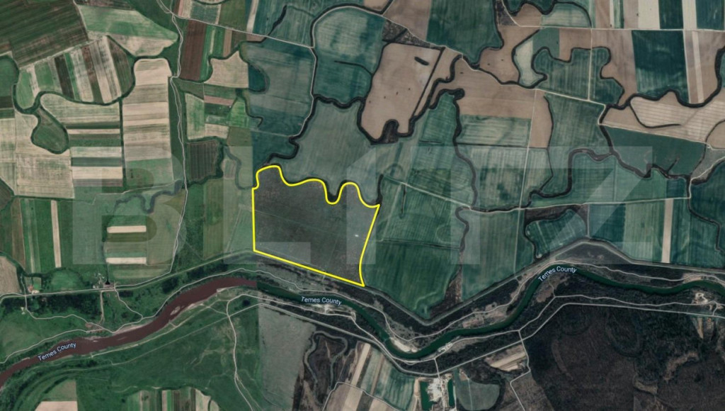 Teren comasat 50 ha, Bazoșul Nou, la 18 km de Timișoara