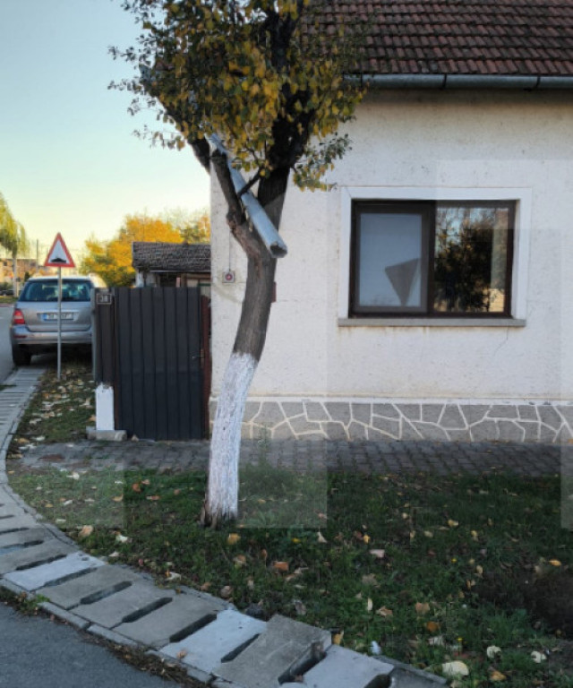 Casa individuala 3 camere Dumbravita