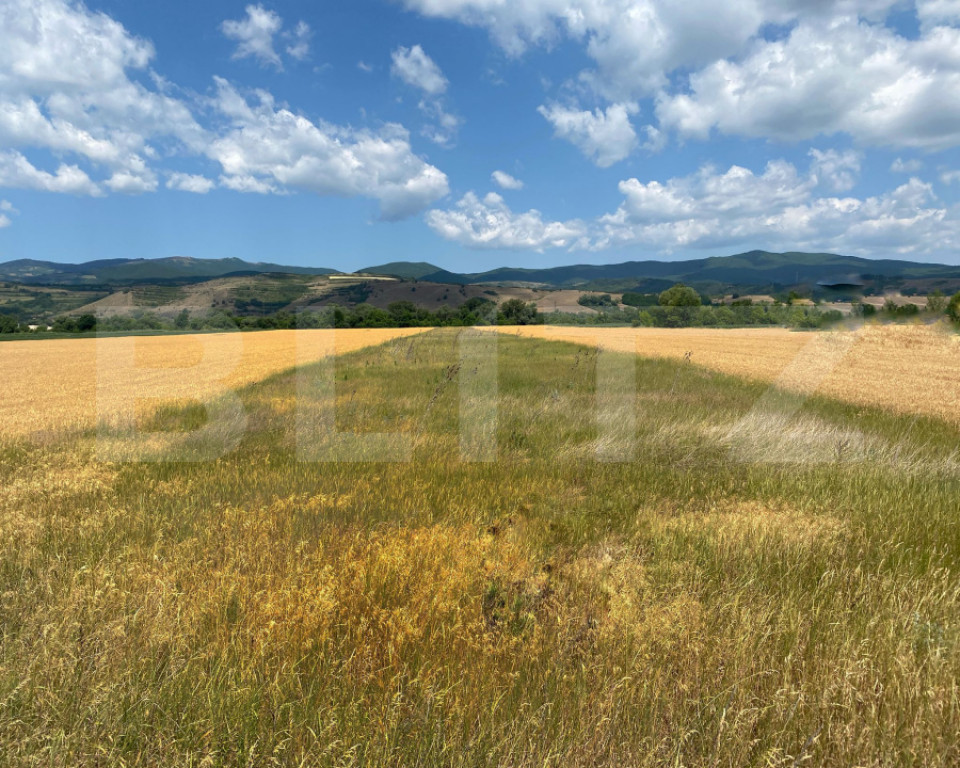 Teren extravilan de vanzare-10.400 mp, zona Vintu de Jos