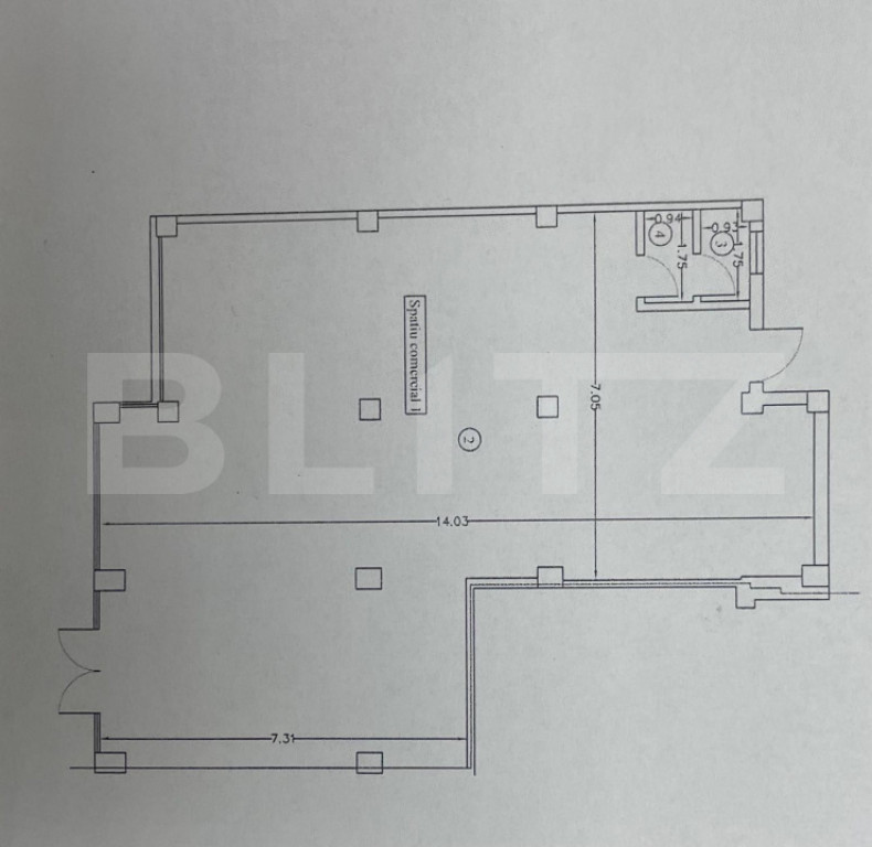 Spatiu comercial, 252.70 mp, zona Centru