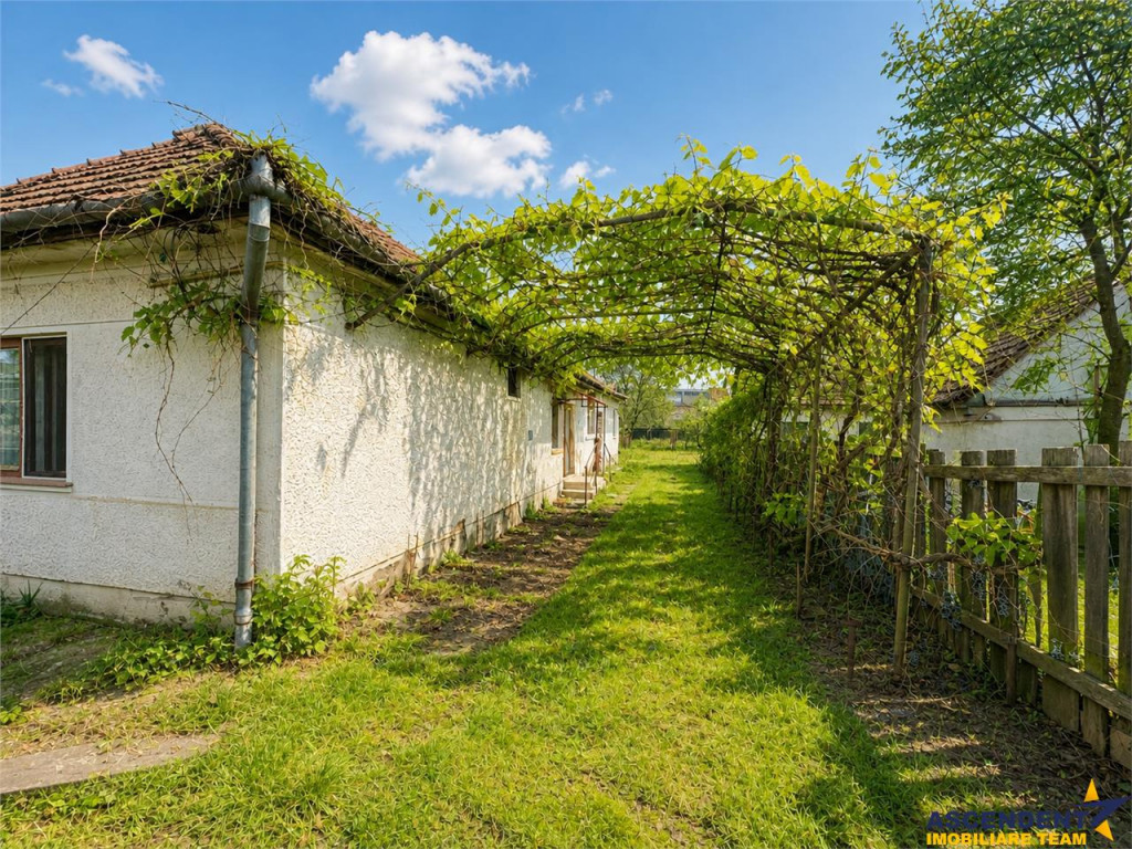 Casa cu 1.924 mp teren, de inchiriat, Sfantu Gheorghe