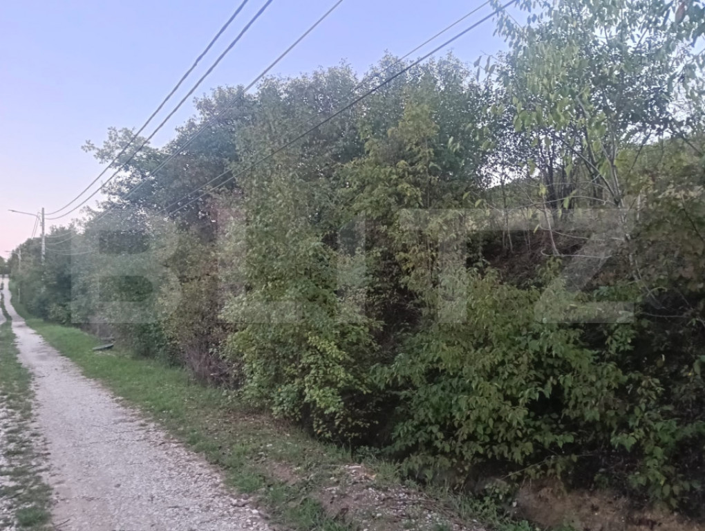 Teren intravilan parcelabil 600–900 mp, utilități, zona