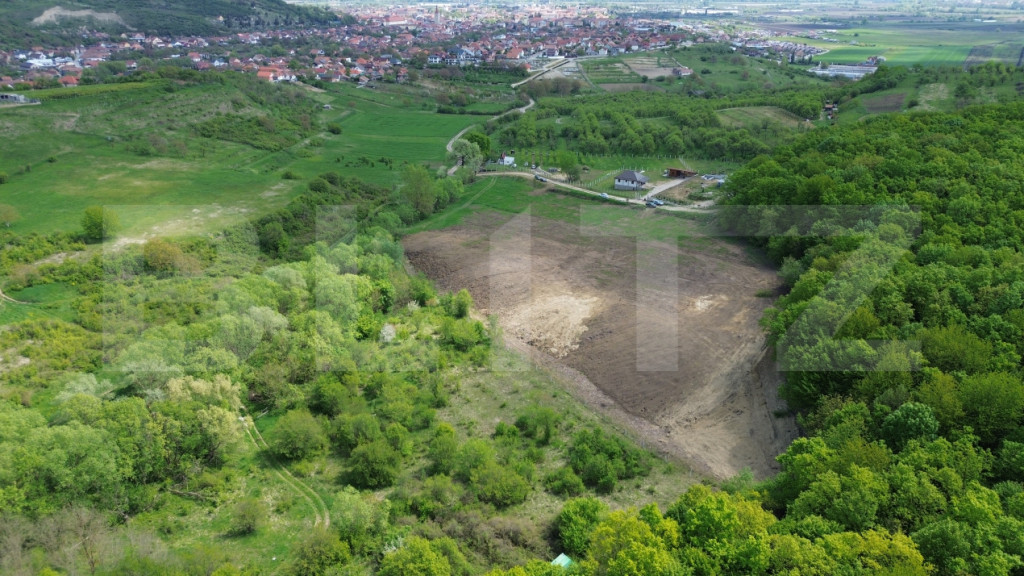 Teren 15.100 mp la baza pădurii – ideal parcelare | 14 lo