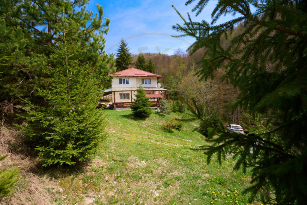 Casa Dambovicioara - CASA de vacanta sau PENSIUNE profitabil