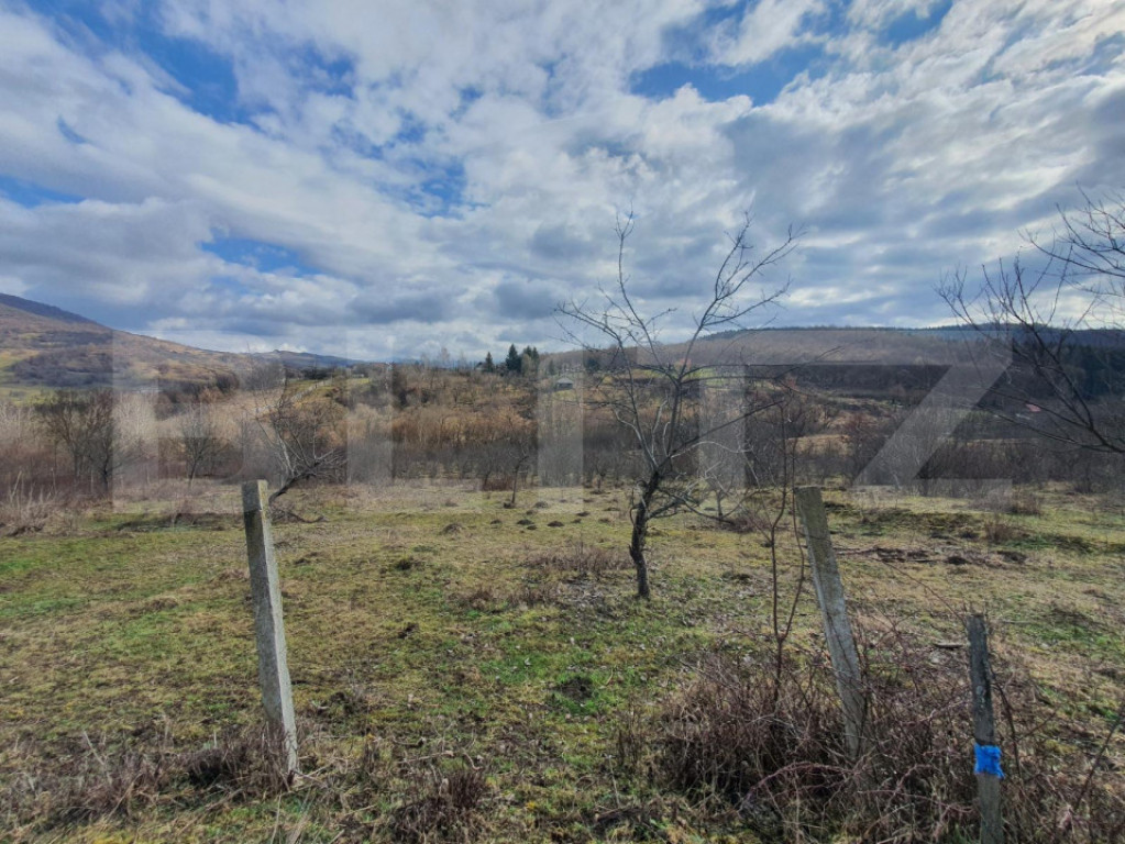Teren intravilan 50 arii pe str. Valea Ghinzii