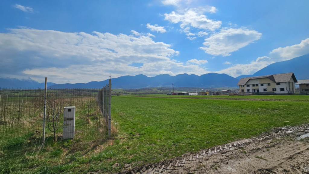Teren intravilan 1.000 mp în Zărnești – zonă liniștit
