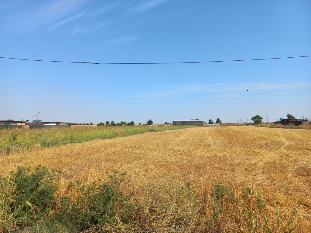 Lazu teren 580mp intravilan
