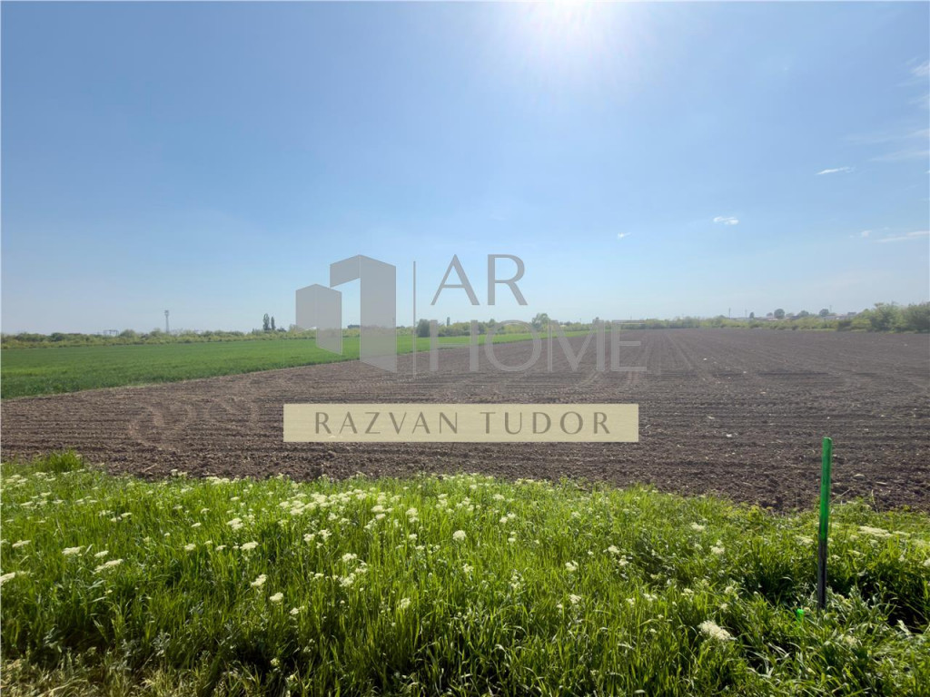 Teren 6,06 Ha, deschidere 145 ml, la DN1A. Barcanesti.