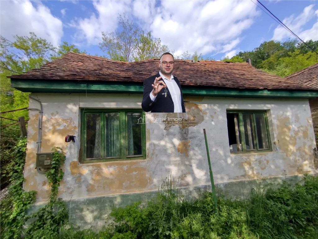 Sasca Montana | Oportunitate | Casa cu 230 MP Teren