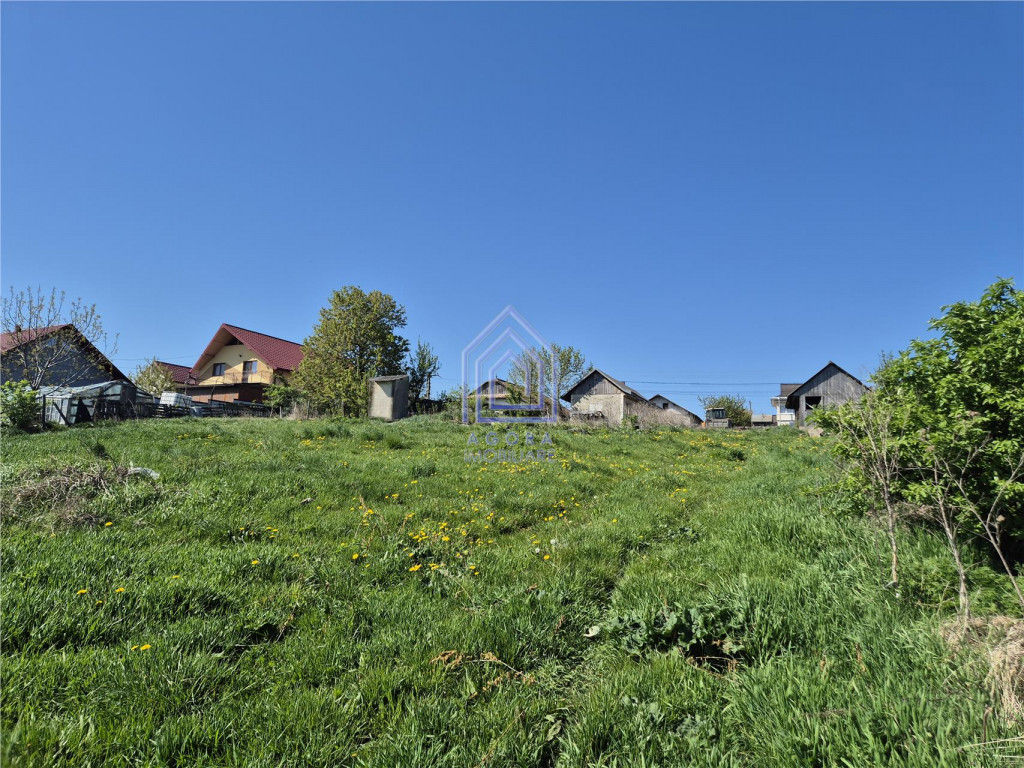 Teren intravilan Moara Nica - 1950 mp