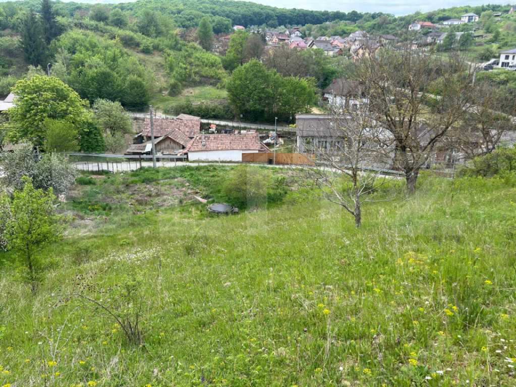 Teren intravilan 3.100 mp | Zonă de case | Valea Budacului