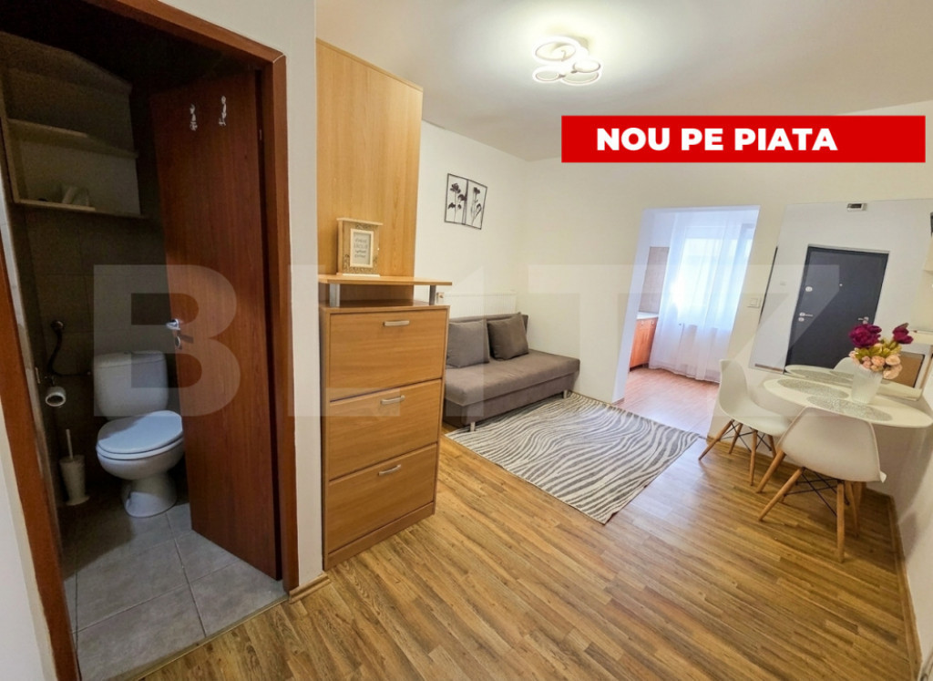 Garsonieră, 24 mp, parter, mobilată, zona Freidorf