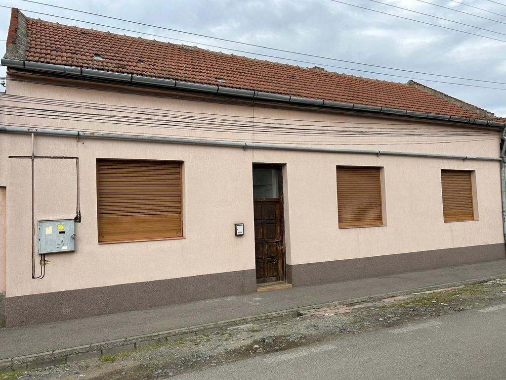 Casa in Lugoj pe Str. Nuferilor