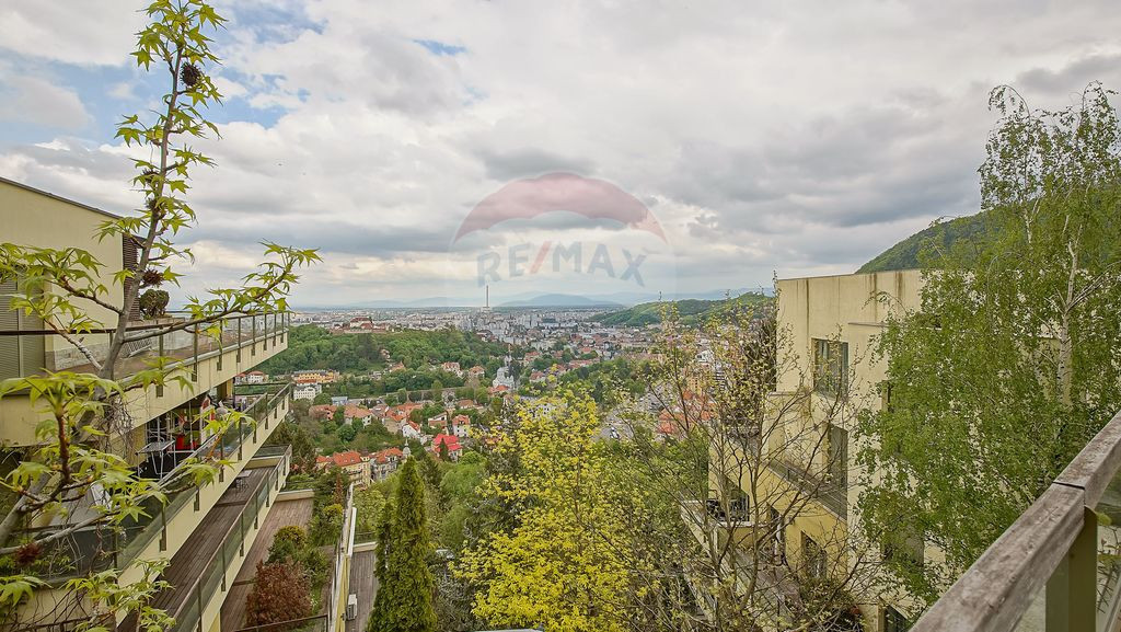 Poziție, priveliște, terasă uriașă, în Bellevue Res...