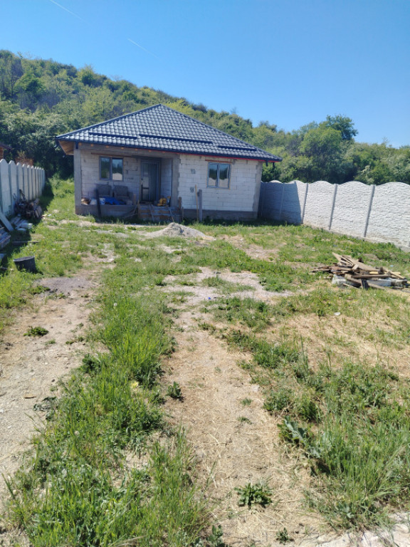 Casa parter la ROSU ,355 mp teren , Podari.
