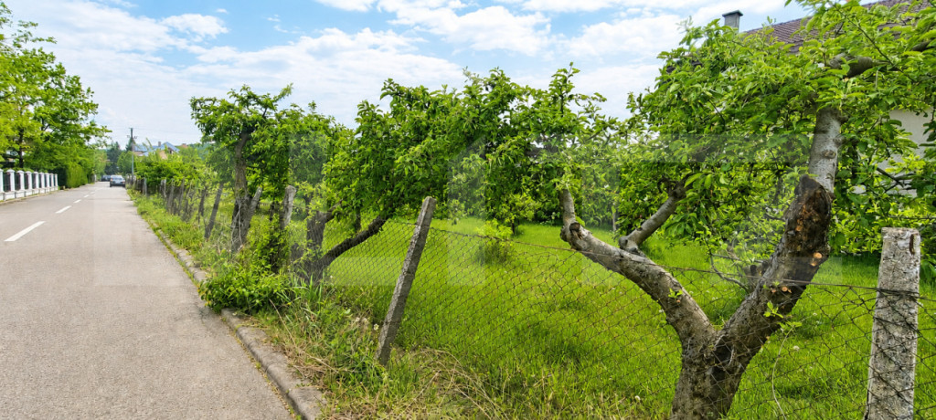 Teren intravilan 600 mp - Calea Moldovei| Ideal pentru const