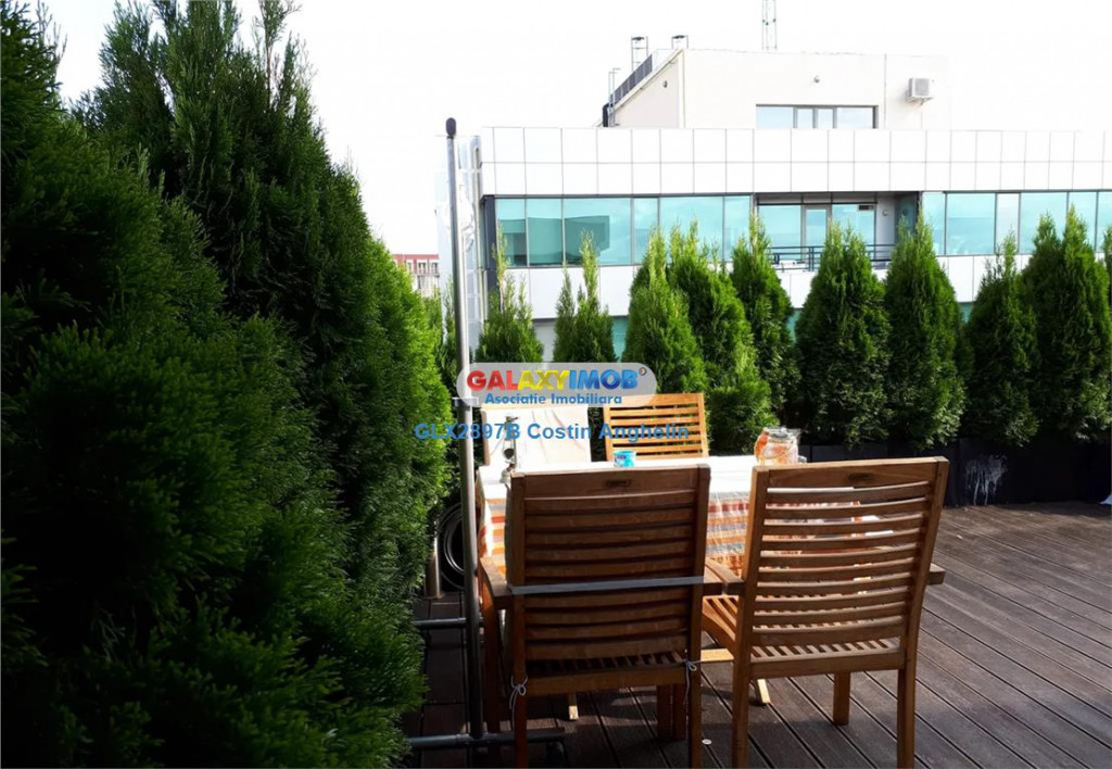 Penthouse 4 Camere Exclusive - Zona Domenii - Terasa Verde 8