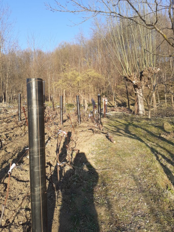 Teren 5000mp și casă de vânzare Valenii De Munte, Prahova