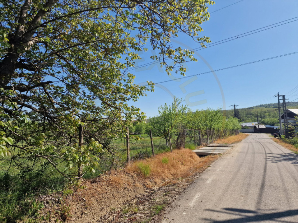 Teren Calinesti, Arges!
