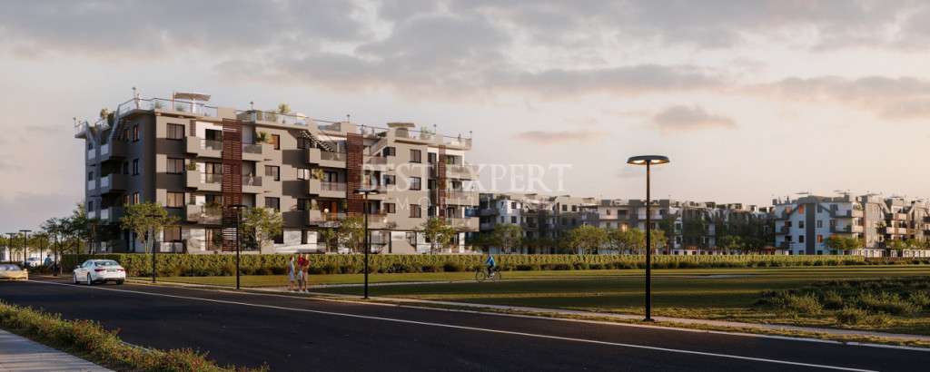 3 Camere Gradina -Lux, lumină și funcționalitate
