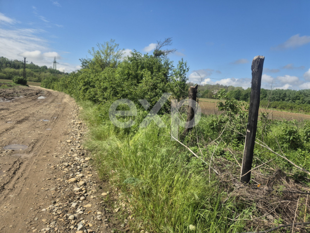 De vanzare teren la super pret in Albota, Cerbu, Arges