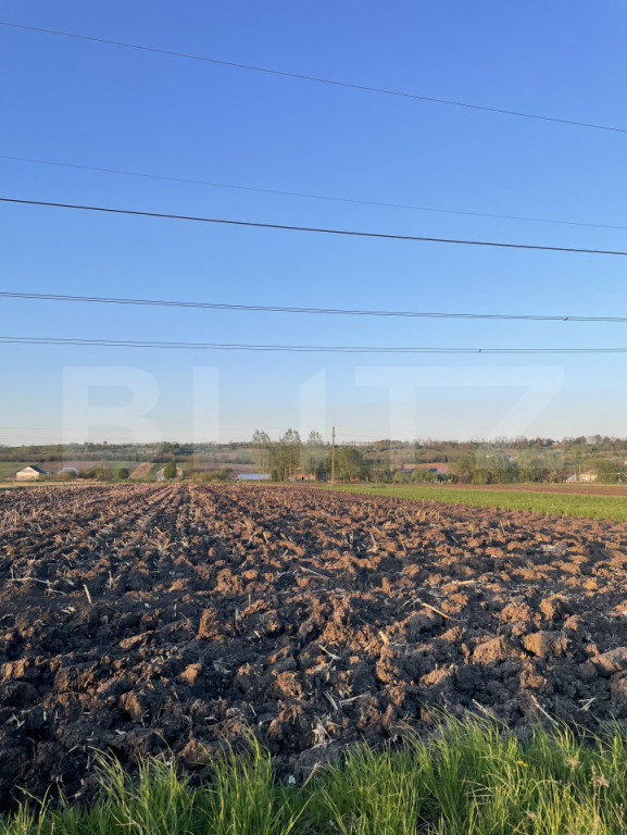 Teren Intravilan - 3600mp - Forăști, Fălticeni
