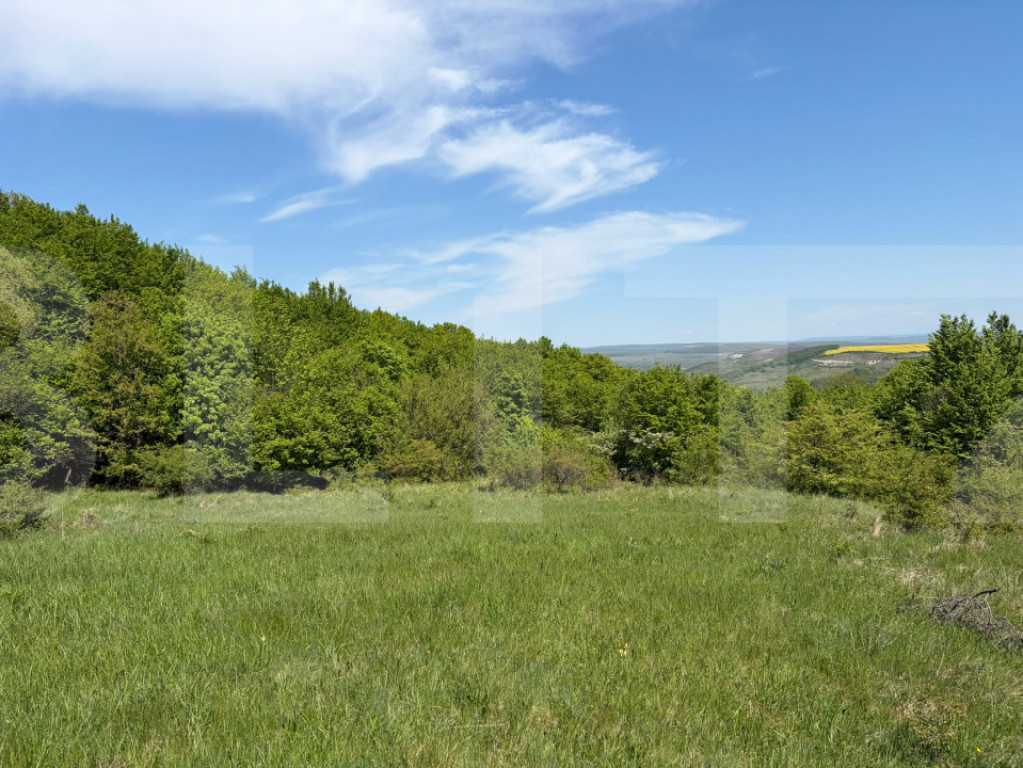 Teren intravilan de vanzare, 464 mp, Chinteni
