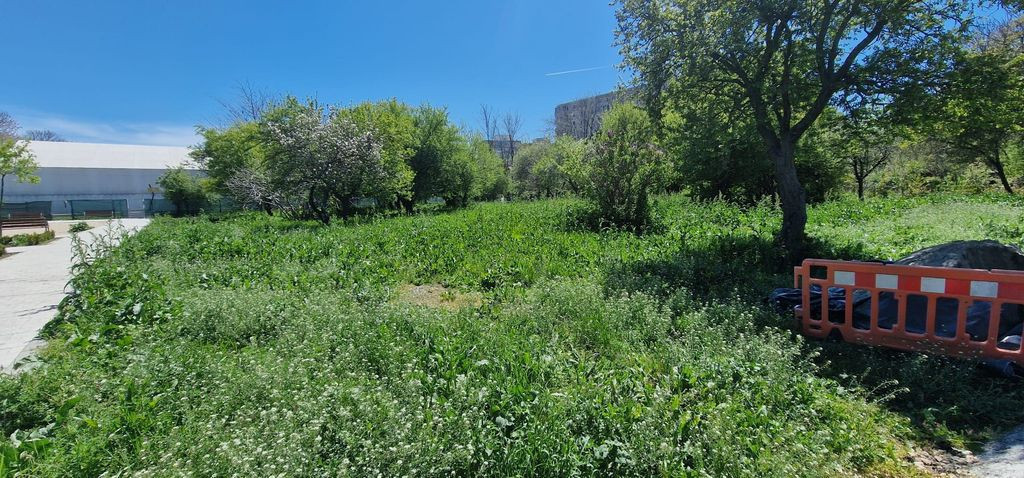 Teren ideal dezvoltare imobiliara.
