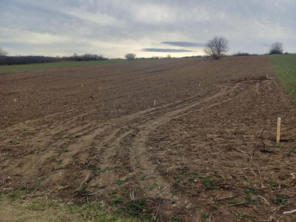 Teren intravilan,433mp, 21.6m deschidere,la 1.5km de gara lu