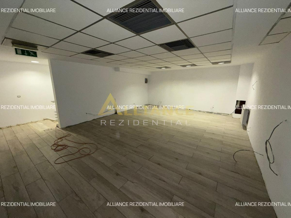 Spatiu Comercial - Parc Carol - 233mp