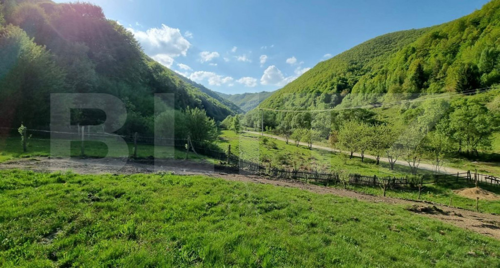 EXCLUSIVITATE! Teren extravilan, 5.400 mp, Comuna Iara, Vale