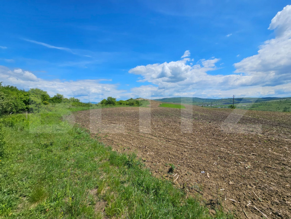 Teren Agricol, 5.800 mp, in Blajenii de Jos