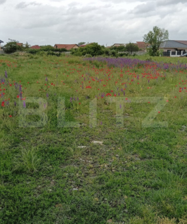 Teren intravilan, 980 mp, front 21 m, zona Sacalaz