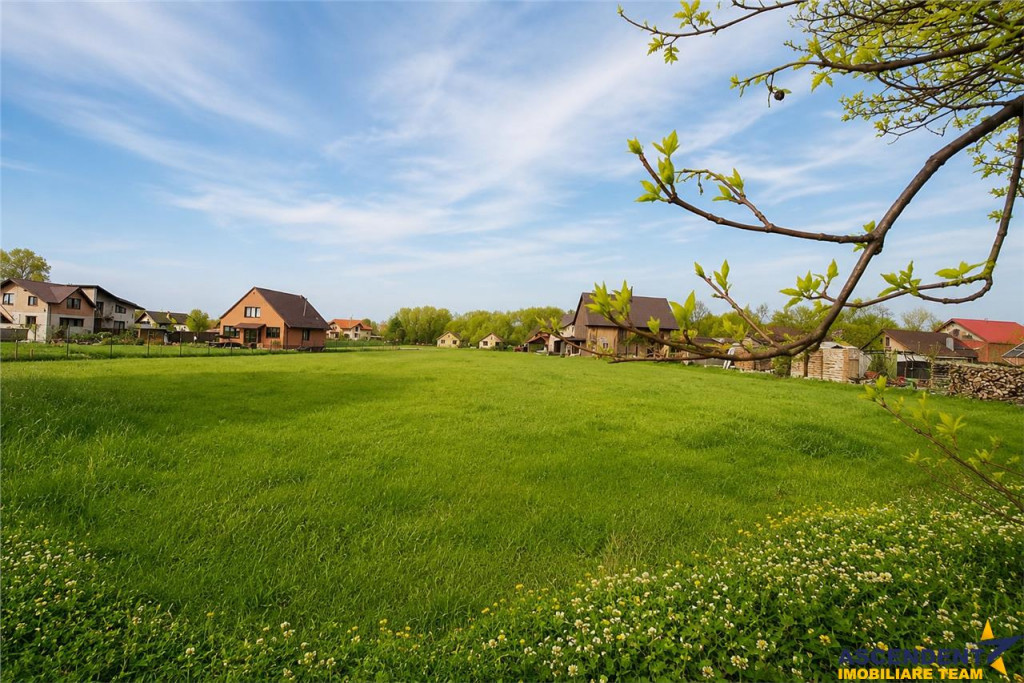 Teren 1.700 mp intravilan, natura, vecinatati bune, potentia