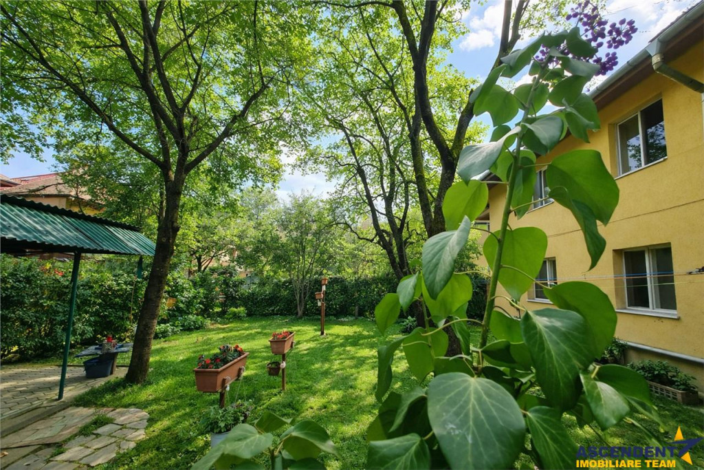 Imobil cu gradina verde, in ariere placuta, facilitati, Trac